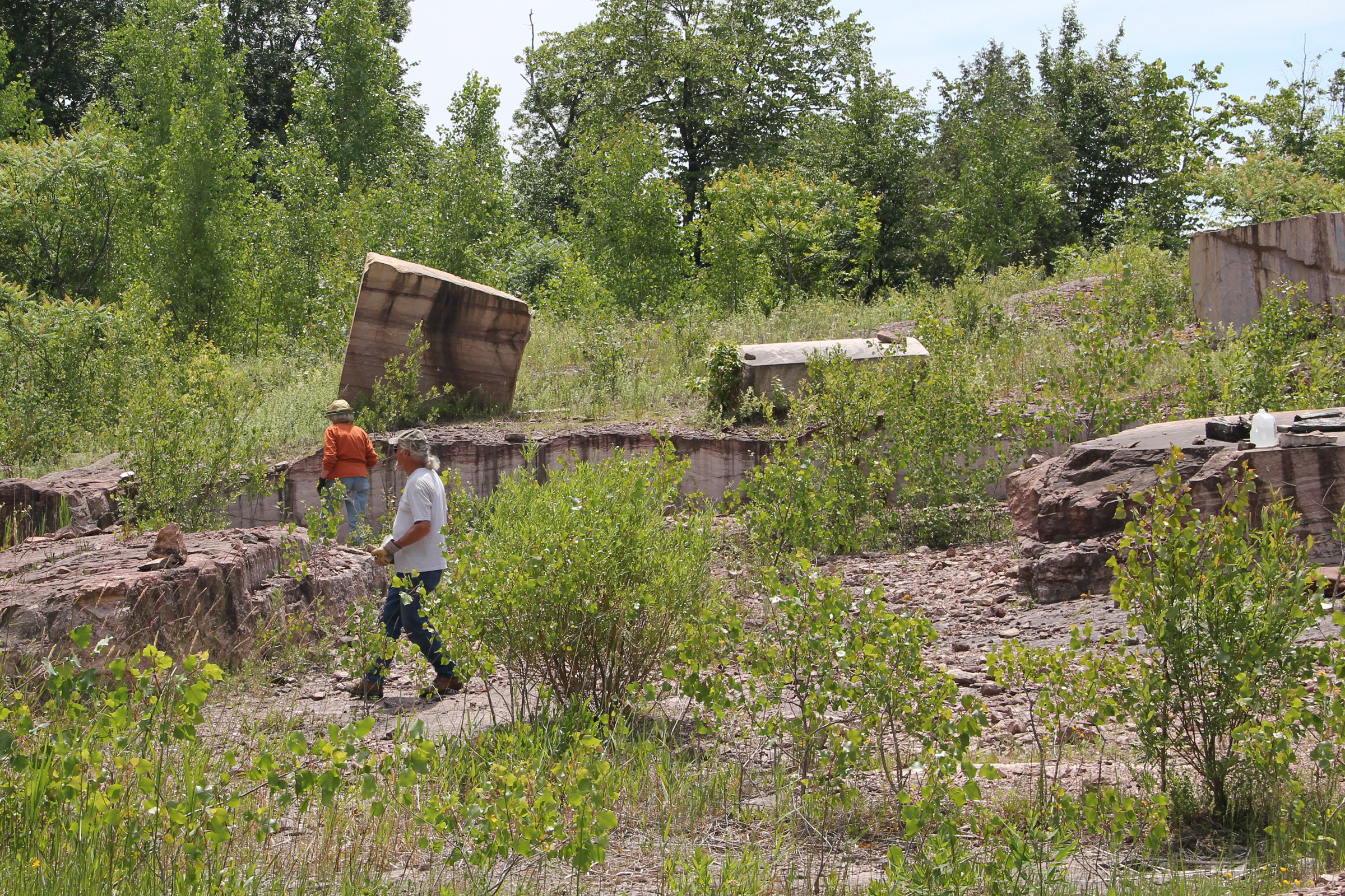 Swanton Quarry Camp 2013